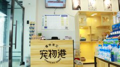 开宠物港宠物店怎么样